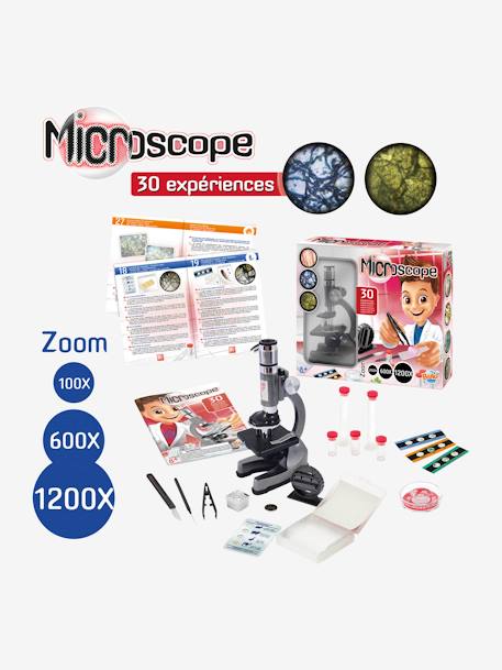 Mikroskop - 30 BUKI-Experimente, ab 8 Jahren ANTHRAZIT 