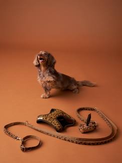 Bettwäsche & Dekoration-Dekoration-Dekoartikel-Set aus Geschirr, Leine und Halsband für Hunde