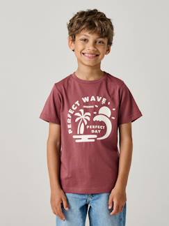 Junge-T-Shirt, Poloshirt, Unterziehpulli-T-Shirt mit Print für Jungen BASIC