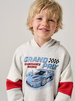 Garçon-Pull, gilet, sweat-Sweat capuche imprimé