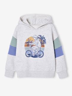 Garçon-Pull, gilet, sweat-Sweat capuche imprimé