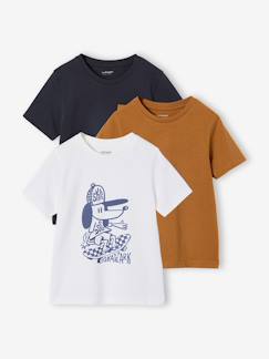Garçon-T-shirt, polo, sous-pull-Lot 3 T-shirt manches courtes