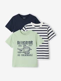 Garçon-T-shirt, polo, sous-pull-Lot 3 T-shirt manches courtes