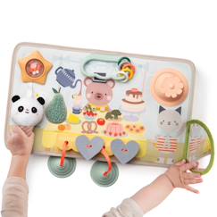 Spielzeug-Erstes Spielzeug-Erstes Lernspielzeug-Activity-Tafel Baby TAF TOYS