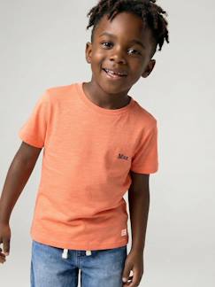 Garçon-T-shirt, polo, sous-pull-T-shirt couleur garçon manches courtes