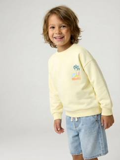 Garçon-Pull, gilet, sweat-Sweat col rond manches longues