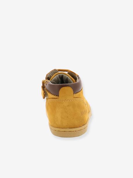 Jungen Baby Boots 'Tackland' KICKERS® camel+khaki 