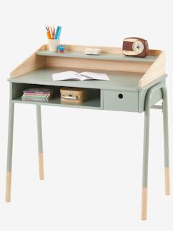 Schulstart-Zimmer und Aufbewahrung-Zimmer-Schreibtisch, Tisch-Schreibtisch 6-10 Jahre-Kinder Schreibtisch ,,Amazonas"