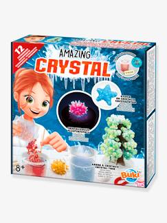 Winter-Kollektion-Spielzeug-Lernspiele-Wissenschaftsspiele und Multimedia-Experimentierkasten ,,Amazing Crystal" BUKI