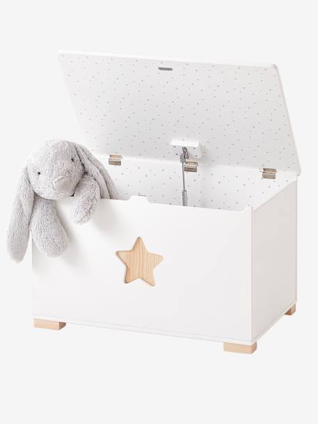 Coffre à jouets LIGNE SIRIUS blanc/bois 