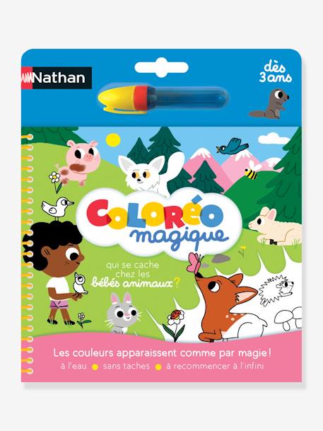 Carnet Coloréo bébé animaux - NATHAN multicolor 