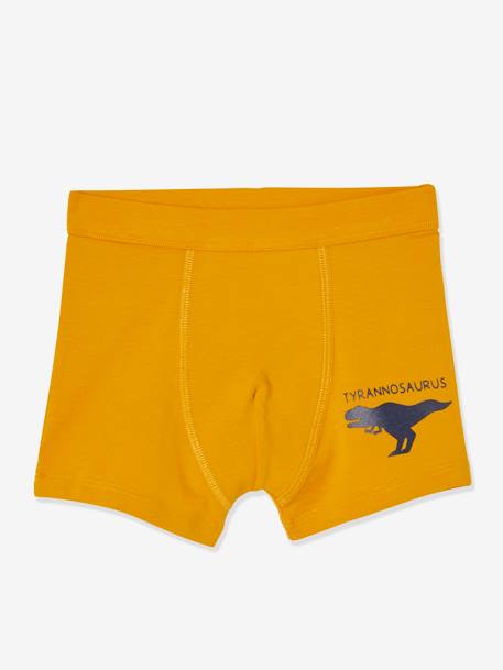 Lot de 7 boxers stretch garçon dinosaures Lot ivoire 