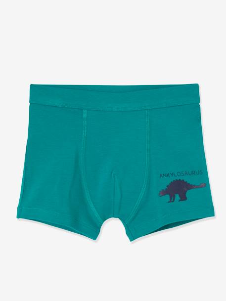 Lot de 7 boxers stretch garçon dinosaures Lot ivoire 