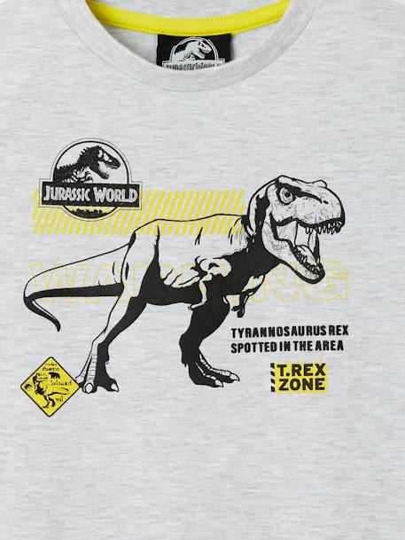 T-shirt garçon Jurassic World® Gris chiné 