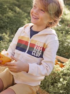 Frühlingsauswahl-Junge-Pullover, Strickjacke, Sweatshirt-Sweatshirt-Jungen Kapuzensweatjacke COOL KIDS CLUB Oeko-Tex