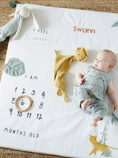 La valise maternité-Linge de maison et décoration-Tapis photo bébé personnalisable HANOÏ