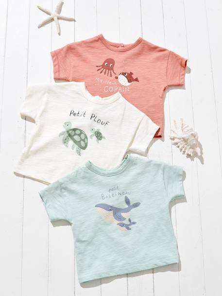 Bio-Kollektion: Baby T-Shirt mit Meeres-Motiven aqua+hellbeige/schildkröte+hellgelb 