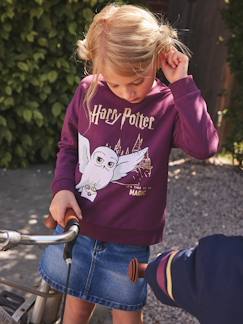 Mädchen-Pullover, Strickjacke, Sweatshirt-Kinder Sweatshirt HARRY POTTER