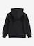 Kinder Kapuzensweatshirt BATWING SCREENPRINT Levi's schwarz 