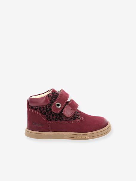 Jungen Baby Boots 'Tackeasy' KICKERS® bordeaux+khaki+marine 