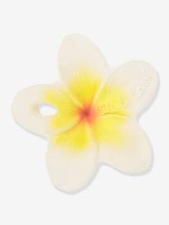 Spielzeug-Erstes Spielzeug-Zahnungshilfe „Hawaii, die Frangipani“ OLI & CAROL