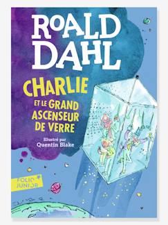 Französisches Kinderbuch „Charlie et le grand ascenseur de verre“ GALLIMARD JEUNESSE