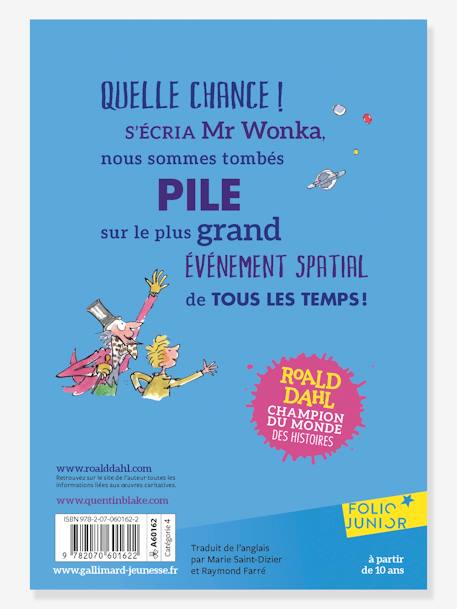 Französisches Kinderbuch „Charlie et le grand ascenseur de verre“ GALLIMARD JEUNESSE blau 