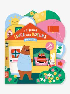 Spielzeug-Bücher (französisch)-Activity-Bücher und Spielbücher-Französisches Kinderbuch „Le grand livre des odeurs - Ma Journée“ AUZOU
