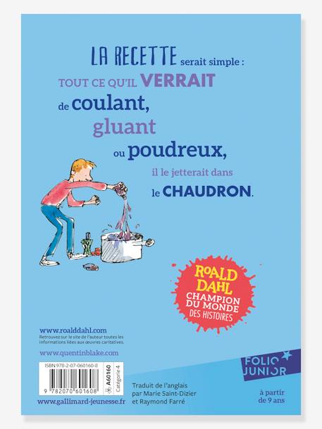 Französisches Kinderbuch „La potion magique de Georges Bouillon“ GALLIMARD JEUNESSE blau 