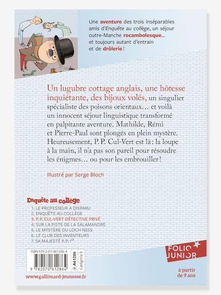 Französisches Kinderbuch „P.P. Cul-Vert détective privé - Enquête au collège“ Band 3 GALLIMARD JEUNESSE grün 
