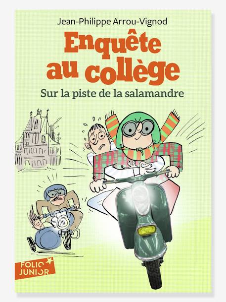 Französisches Kinderbuch „Sur la piste de la salamandre - Enquête au collège“ Band 4 GALLIMARD JEUNESSE gelb 