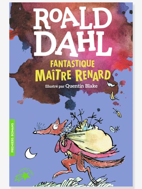Französisches Kinderbuch „Fantastique Maître Renard“ GALLIMARD JEUNESSE blau 