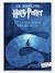 Französisches Kinderbuch „Harry Potter et la Chambre des Secrets“ Band 2 GALLIMARD JEUNESSE blau 