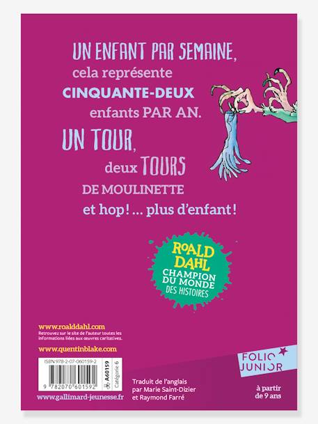 Französisches Kinderbuch „Sacrées sorcières“ GALLIMARD JEUNESSE violett 