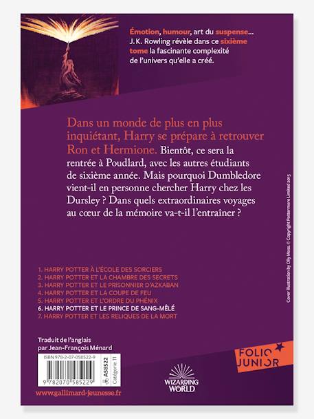 Französisches Kinderbuch „Harry Potter et le Prince de Sang-Mêlé“ Band 6 GALLIMARD JEUNESSE violett 