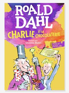 Spielzeug-Bücher (französisch)-Französisches Kinderbuch „Charlie et la chocolaterie“ GALLIMARD JEUNESSE