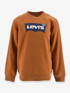 Junge-Pullover, Strickjacke, Sweatshirt-Sweatshirt-Sweatshirt Batwing Crewneck Levi's®