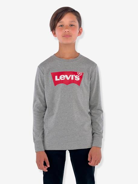 T-shirt Batwing Levi's® gris+marine 
