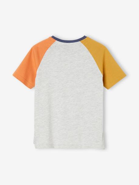 Jungen Shirt, Colorblock grau meliert 