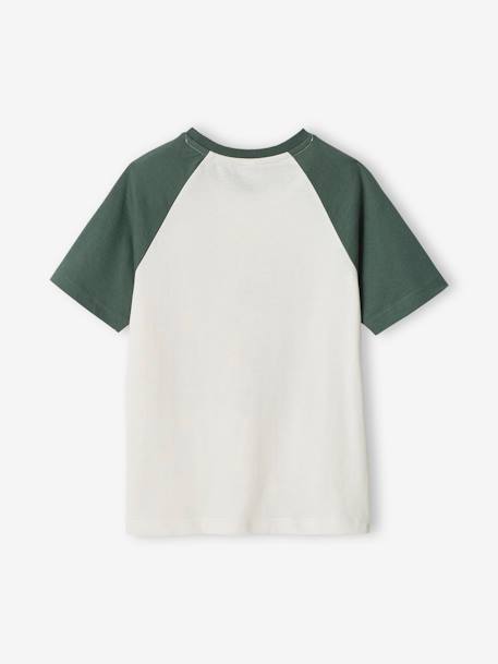 Tee-shirt motif graphique garçon manches raglan bleu+vert sauge 