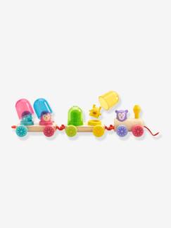 Spielzeug-Erstes Spielzeug-Erstes Lernspielzeug-Nachzieh-Eisenbahn „Rainbow Train“ DJECO