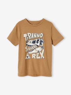 T-shirt dinosaure garçon