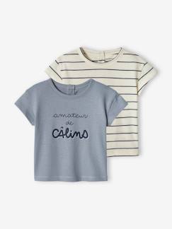 Bébé-Lot de 2 T-shirts basics bébé manches courtes