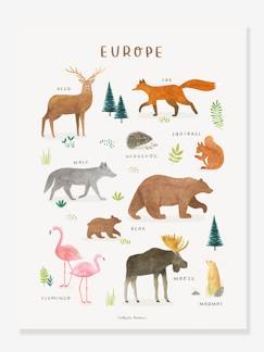 Linge de maison et décoration-Affiche Animaux d'Europe Living Earth LILIPINSO
