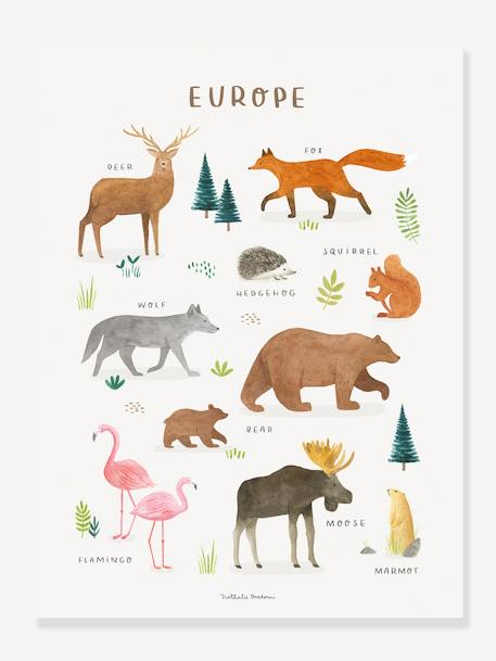 Kinderzimmer Poster „Living Earth“ Europa LILIPINSO braun 