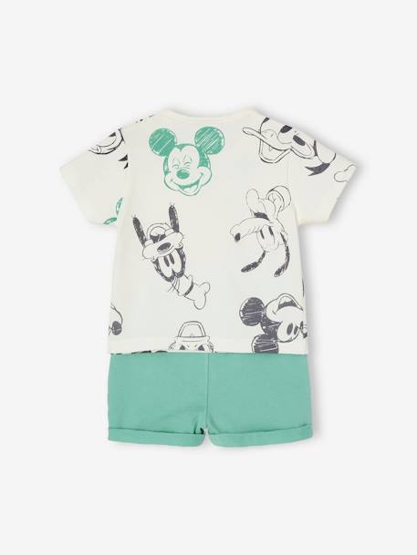 Jungen Baby-Set: T-Shirt & Shorts Disney MICKY MAUS grün bedruckt 