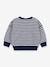 Baby Sweatshirt PETIT BATEAU blau 