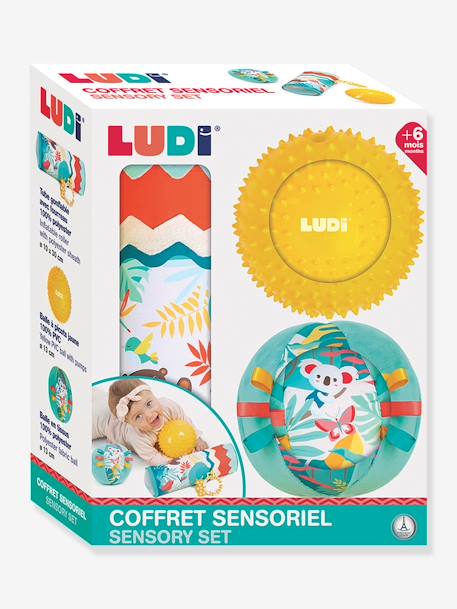 Baby Sensorikspielzeug im Set LUDI mehrfarbig 