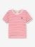 Baby T-Shirt PETIT BATEAU, Bio-Baumwolle weiss 