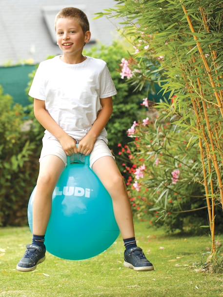 Ballon Sauteur Resist 60 cm gym enfant DOMYOS